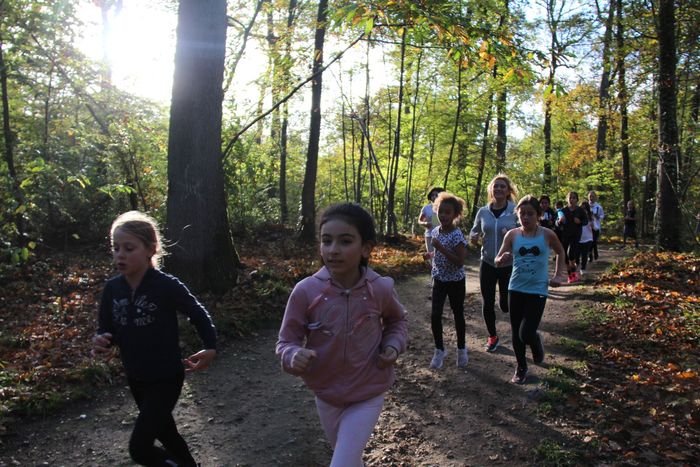 Les enfants profitent d'un bain de forêt sous un beau soleil d'automne © Ville de Chaville - Agrandir l'image, . 0octets (fenêtre modale)