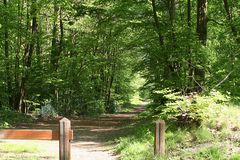 Forêt domaniale de Meudon