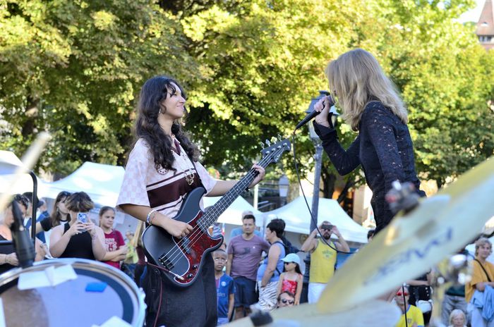 Agrandir l'image, .JPG 409Ko (fenêtre modale)