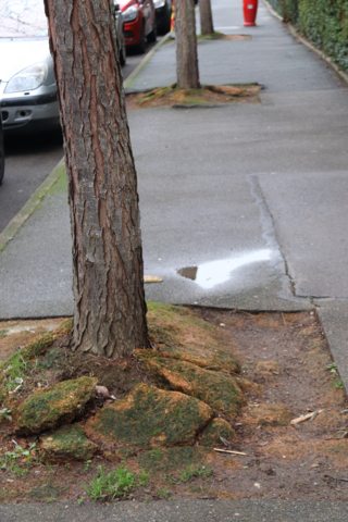 Agrandir l'image, .PNG 9 Mo (fenêtre modale)