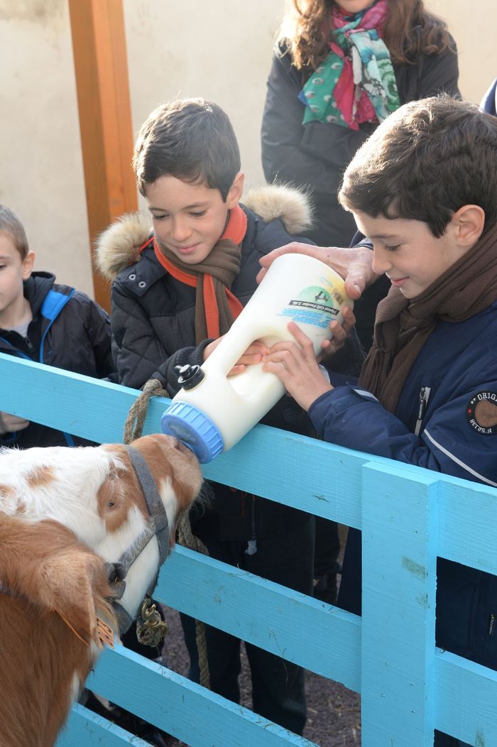 L'enclos des animaux de la ferme a beaucoup de succès ! © Thierry Gougenot - Agrandir l'image, .JPG 276Ko (fenêtre modale)