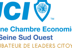 Jeune Chambre Economique de Seine Sud Ouest (JCE SSO)