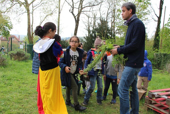 Explications d'Eric Laurent, référent Environnement de Chaville © Ville de Chaville - Agrandir l'image, .JPG 1,10Mo (fenêtre modale)