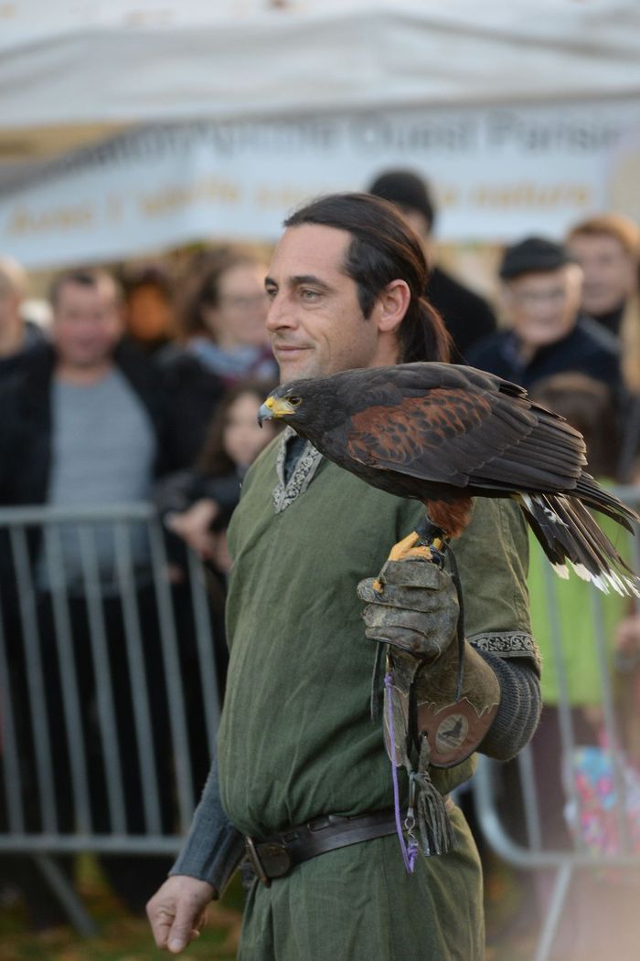 Spectacle de rapaces en vol avec la fauconnerie “Des Crins & des Ailes” © Thierry Gougenot - Agrandir l'image, .JPG 207Ko (fenêtre modale)