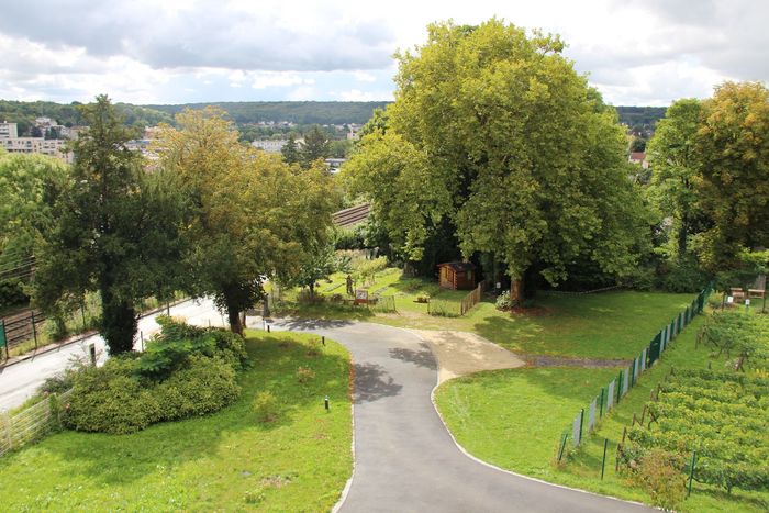 Vigne et Jardin pédagogique - Maison de l'Enfance et de la Jeunesse © Ville de Chaville - Agrandir l'image, .JPG 551Ko (fenêtre modale)