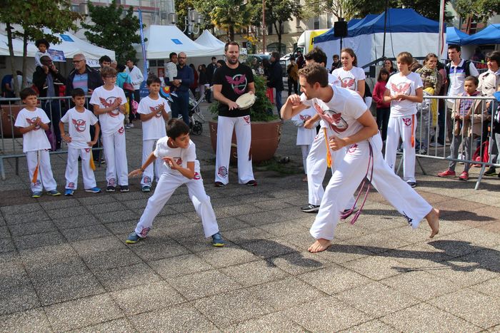 Démonstration de l'association Arte-capoeira © Ville de Chaville - Agrandir l'image, .JPG 702Ko (fenêtre modale)