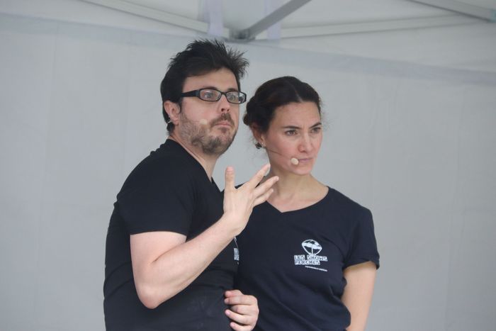 Agrandir l'image, .JPG 118Ko (fenêtre modale)