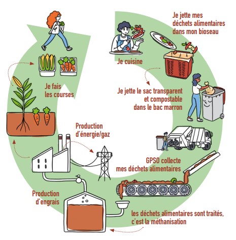 Quels sont les déchets à ne pas mettre dans le compost ? - Le Parisien